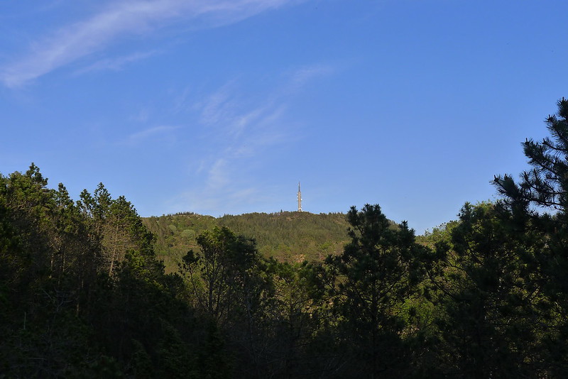 Tower on Steinsfjellet