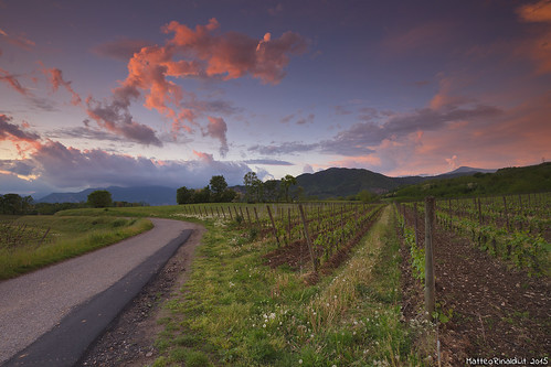 tramonto vigneti franciacorta gndlee06hard gndlee06soft