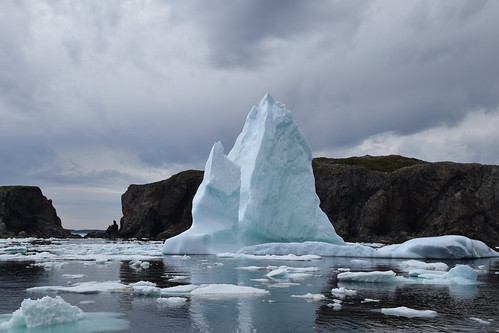 canada newfoundland twillingate icebergtour