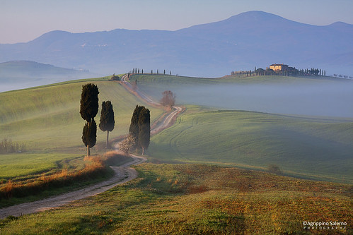 morning italy colors fog farmhouse sunrise canon hills tuscany cypress pienza valdorcia salerno terrapille