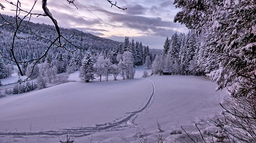 winter snow vinter yule jul skislope haltdalen