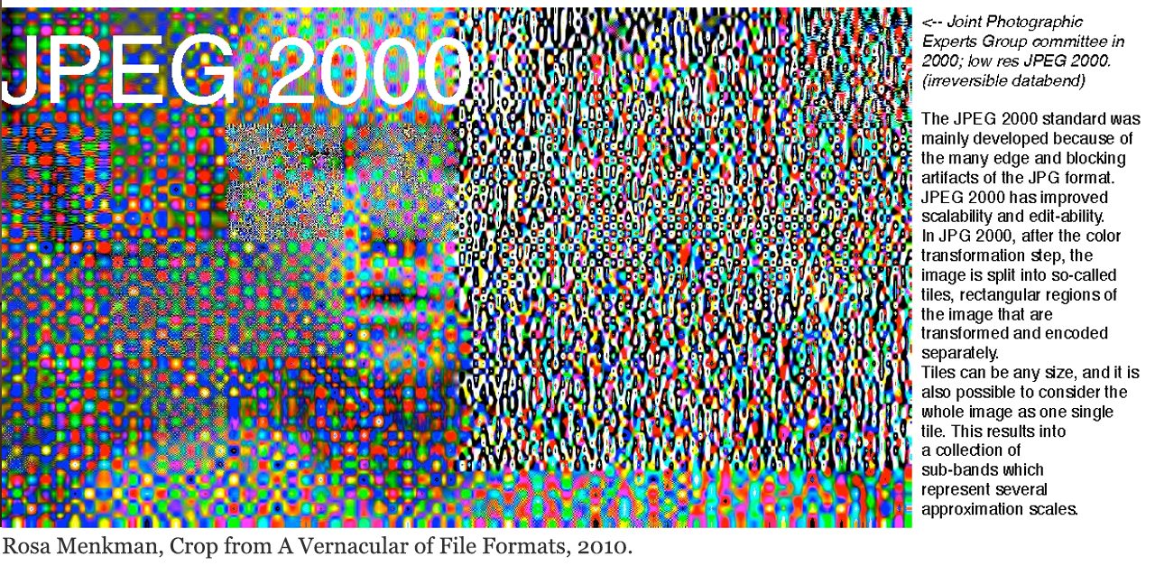 Rosa Menkman, Crop from A Vernacular of File Formats, 2010.