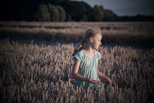 girl landschaft kornfeld abendstimmung haare gesicht bäume running wandering wandern outdoor porträt feld kind