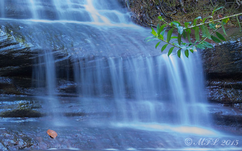 nature forest waterfall pentax sigma australia wideangle queensland k5 buderim
