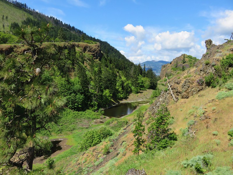 Viewpoint along the Mosier Twin Tunnel trail.