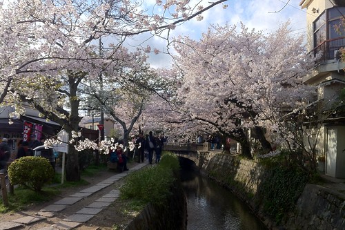 Philosophers Walk - Kyoto (iPhone4)