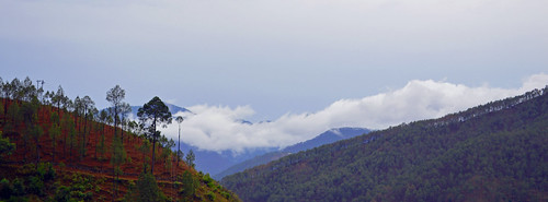 india mountains nature clouds ranikhet uttarakhand earthnaturelife
