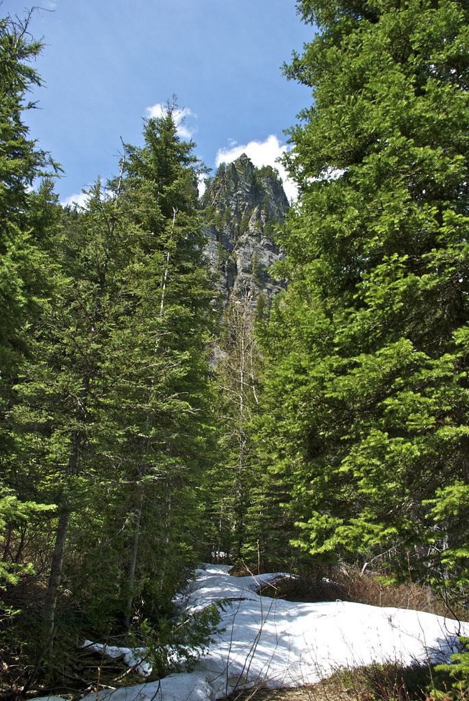 Cabin Lake trail