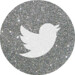 twitter 2 silver round social media icon