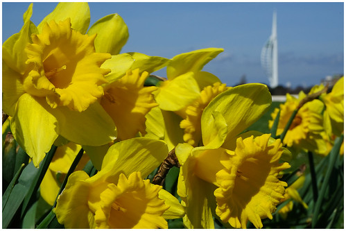 bluesky portsmouth spinnakertower daffodils a7 southsea southseacommon fe2870