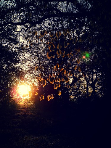 sunrise dawn mayday robinhood pagan kivetonpark trystingtree todwick