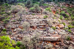 Ross Graham Lookout Kalbarri National Park-6
