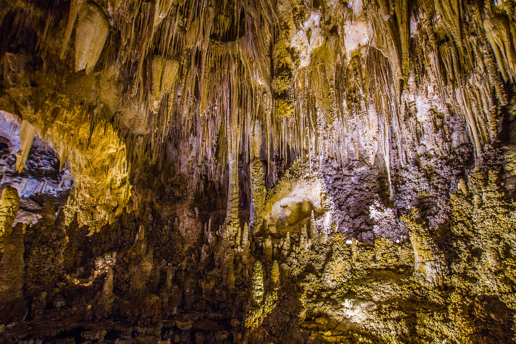 Carlsbad Caverns-19