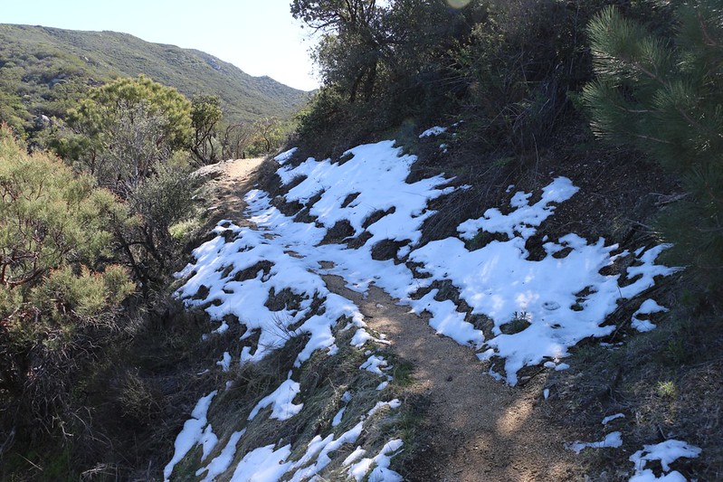 Snow on the Pacific Crest Trail