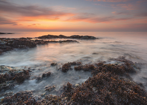 longexposure sunset seascape seaweed beach wales landscape coast rocks waves shoreline coastline llynpeninsula tudweiliog porthysgaden walescoastpath