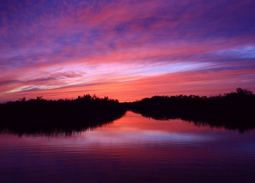 blue sunset red wild usa hot reflection nature beauty misty river skyscape landscape ribbons moody quiet purple unitedstates natural florida path wildlife smooth peaceful tranquility wideangle calm national everglades dreamy serene fullframe inland tranquil cloudscape puffyclouds floridaeverglades refuge southflorida sawgrass vast palmbeachcounty loxahatchee lookingsouth wildcherry bluemist riverscape inthewild icyblue riverofgrass pulledback canoetrail pinkpath tallgass canoepath artisticsunsetphotography mistyribbons mutedsoftness