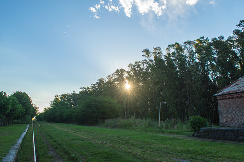 sunset argentina sunshine atardecer woods buenosaires arboles railways pampa vegetacion vias uribelarrea