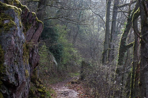 green forest germany deutschland spring rocks grün montclair wald saar saarland frühling felsen mettlach nikond7100 tamronaf70300mmf456divcusdif