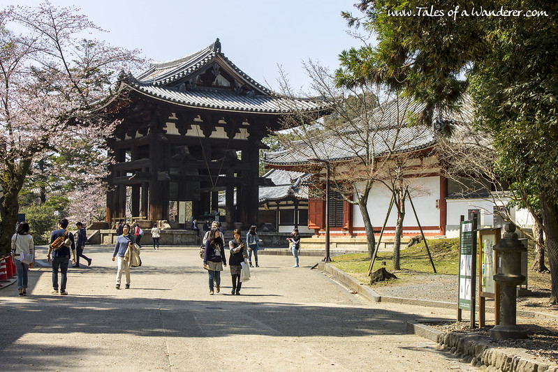 奈良 NARA - 東大寺 Tōdai-ji