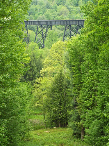 trestle bridge trees green architecture train spring doe deer hollow traintrestle eastbranch jeffersoncountypa burketthollow