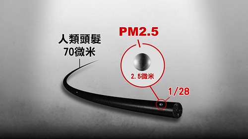 PM2.5是髮絲直徑1/28