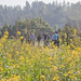 Hikers and flowers