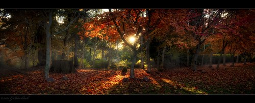 autumn mountwilson gerardblacklockgerry