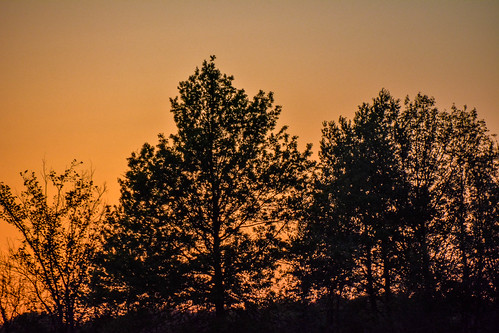 sunset illinois campsite sunsettime illinoisstatepark sangchrislake rochesterillinois pamschreckcom photographerpamelaschreckengost ©pamelaschreckengost hickorypointcampground