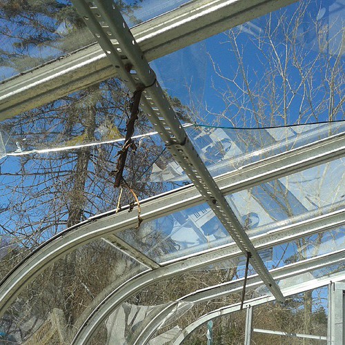 Three sections (6 panes) of our greenhouse got shattered under the weight of the snow this winter. :(