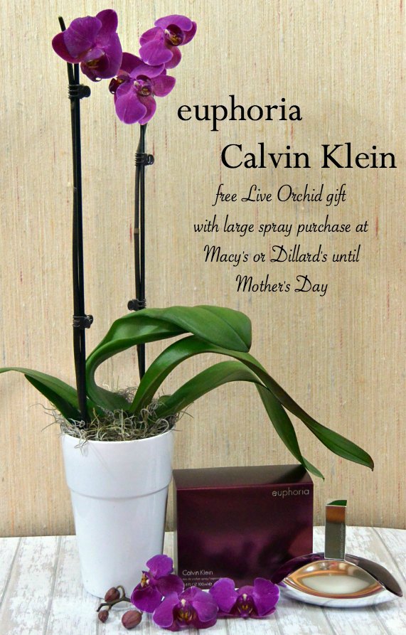 euphoria Calvin Klein - free live orchid gift with large spray purchase at Macy's or Dillard's until Mother's Day