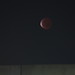 Lunar Eclipse - Blood Moon