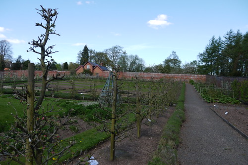 Sugnall Walled Garden