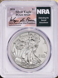 NRA silver eagle