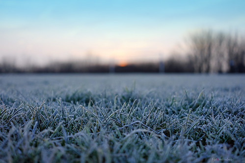 morning mañana grass wales frost cardiff gales cesped pontprennau fujifilmxm1