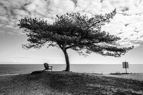 sea sky blackandwhite sunlight seascape tree beach sign clouds one wooden skåne spring sand chair shadows sweden horizon swedish baltic shore lonely ¨ östersjön österlen