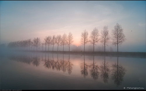 mist fog sunrise geotagged bomen nederland heiloo akersloot nld bomenrij boekel noordhollandskanaal zonsopkomst provincienoordholland peterbijkerkeu geo:lat=5258851285 geo:lon=475434154