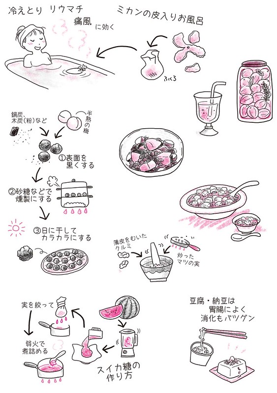 最近の仕事 万来舎 台所薬膳 身近な食べ物135種の薬効を活かす Natsumikanのらくがきカレンダー