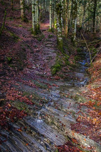 autumn españa water way agua camino path otoño esp navarra irati selvadeirati valledesalazar 2tumblr sal18250 izalzuitzaltzu 2blogger fotohiking