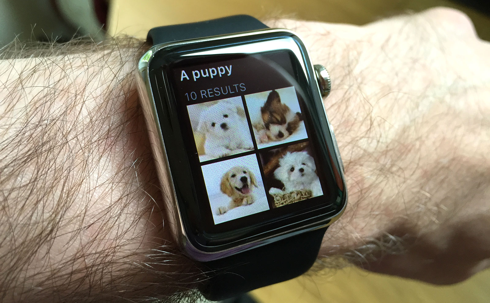 Apple Watch image search puppy