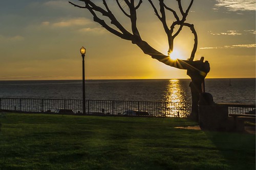 ocean california park sunset sky seascape tree nature water coast starburst redondobeach