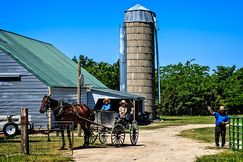 horse barn silo amish ©allrightsreserved digitalidiot