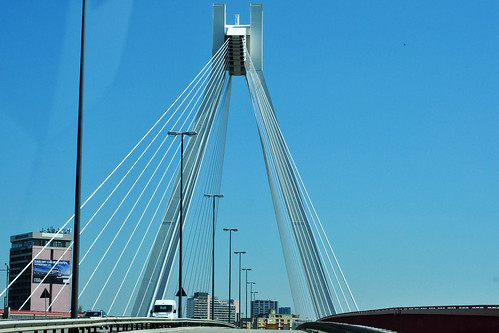 Pylonbrücke Mannheim Ludwigshafen