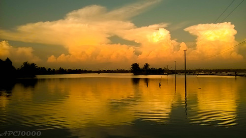 sunset sunlight india evening quiet kerala kochi ernakulam lumia kandakkadavu