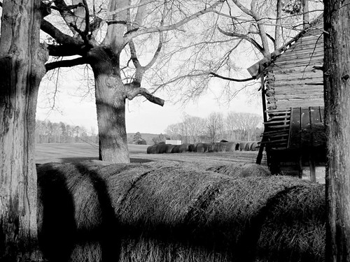 county door trees roof winter bw sunlight barn rural tin evening virginia blackwhite wooden shadows charlotte dusk farm country entrance logs storage round unfinished hay agriculture bales posts economy tobacco redoak drying weak shedroof