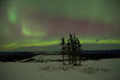 winter alaska night aurora nightsky fairbanks northernlights auroraborealis murphydome