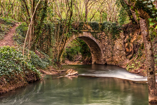 rio puente arbol agua nd alava seda vasco euskadi pais exposicion larga araba piedra peñacerrada inglares