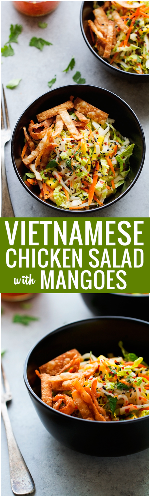 Vietnamese-Chicken-Salad-Vietnamese Chicken Salad with Mangoes - A super easy salad that is so delicious. Seriously the best! #chickensalad #vietnamesesalad #ricenoodlesalad | Littlespicejar.com