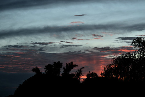trees sunset clouds twilight nikon dusk july bluesky bamboo palmtrees nikkor 70300mm redsunset 2016 nikkor70300mm d5500