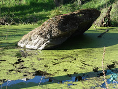 Le dolmen de 'la Pierre Couvretière' à Ancenis - Loire-Atlantique - Avril 2015 - 04