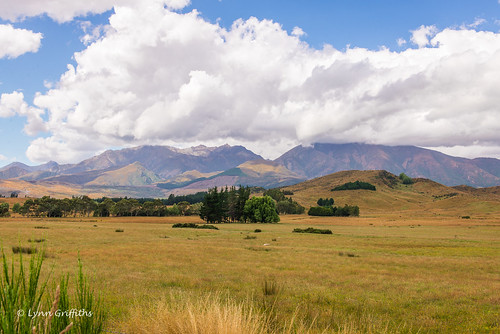 newzealand landscape hill southland coutryside landscapephotography outdoorphotography wharecreek